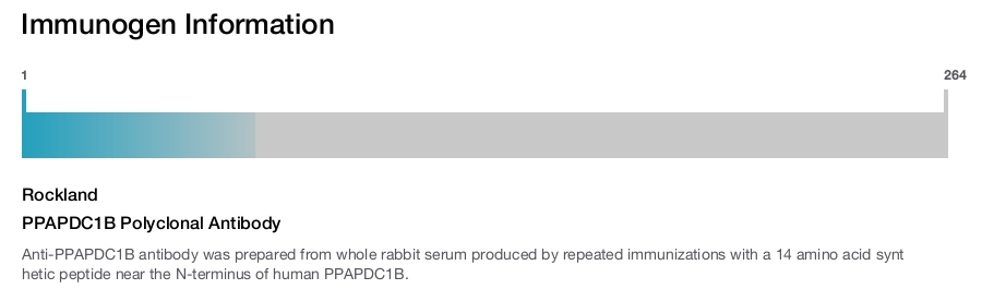 PPAPDC1B Polyclonal Antibody