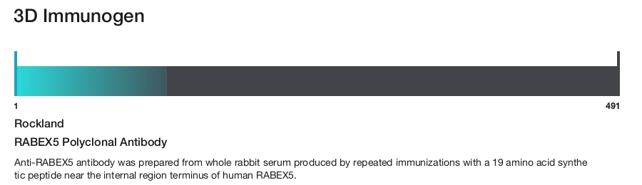 RABEX5 Polyclonal Antibody