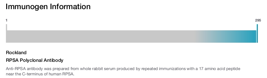 RPSA Polyclonal Antibody