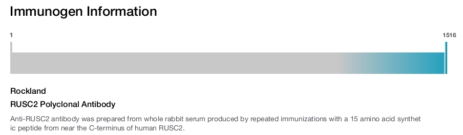 RUSC2 Polyclonal Antibody