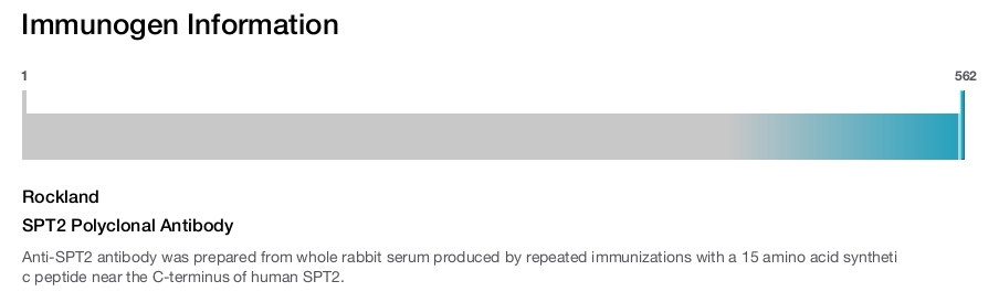 SPT2 Polyclonal Antibody