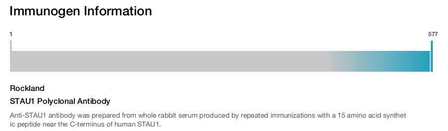 STAU1 Polyclonal Antibody