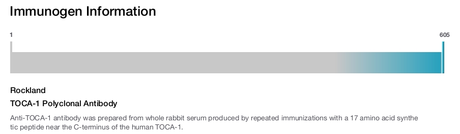 TOCA-1 Polyclonal Antibody