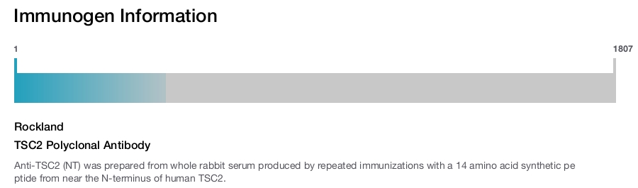 TSC2 Polyclonal Antibody