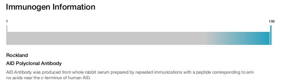 AID Polyclonal Antibody
