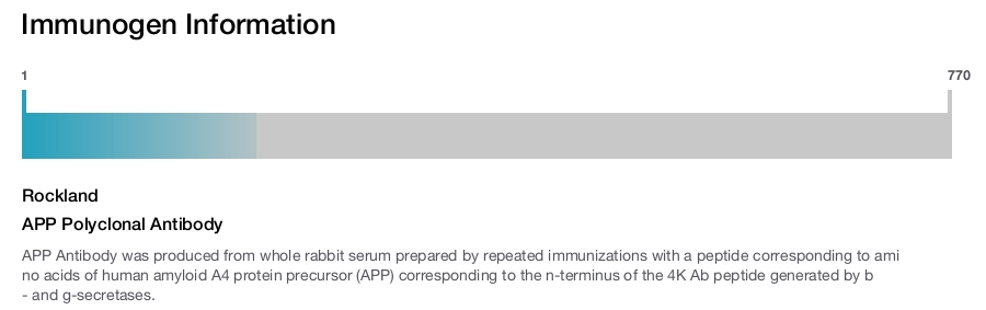APP Polyclonal Antibody