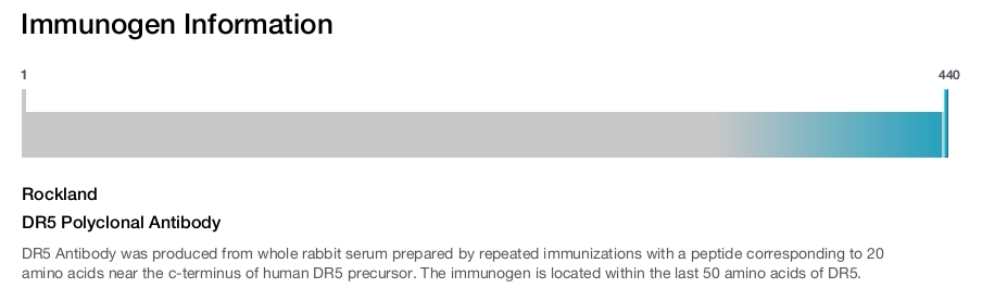 DR5 Polyclonal Antibody