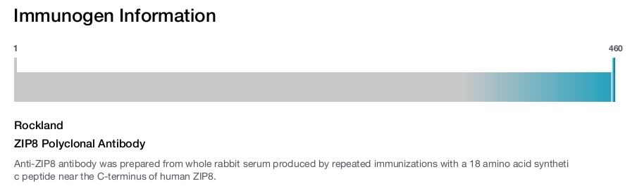 ZIP8 Polyclonal Antibody