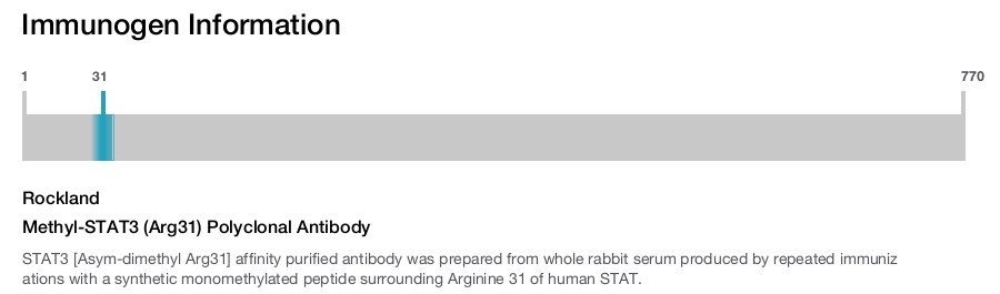 Methyl-STAT3 (Arg31) Polyclonal Antibody