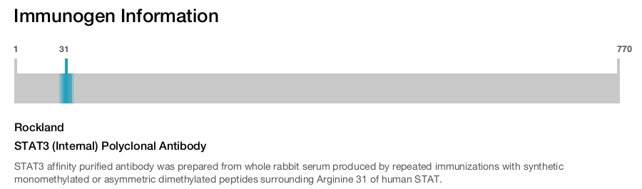 STAT3 (Internal) Polyclonal Antibody