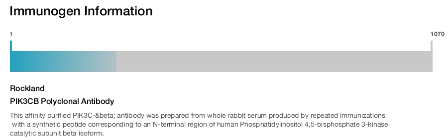 PIK3CB Polyclonal Antibody