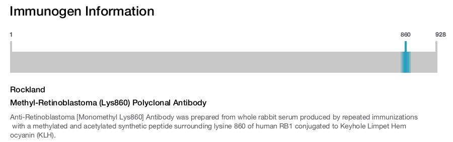Methyl-Retinoblastoma (Lys860) Polyclonal Antibody