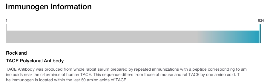 TACE Polyclonal Antibody