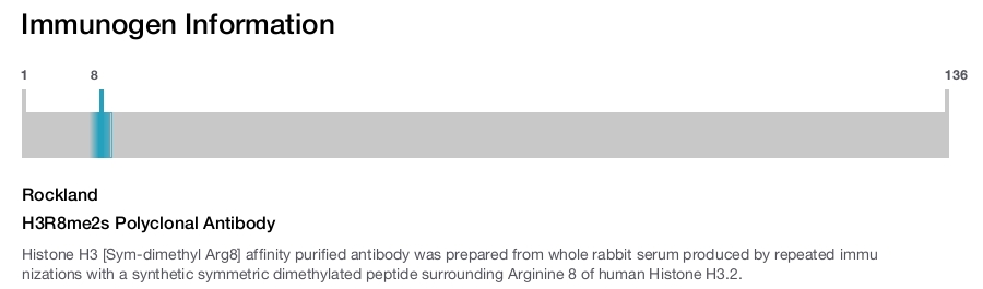 H3R8me2s Polyclonal Antibody