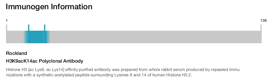 H3K9acK14ac Polyclonal Antibody