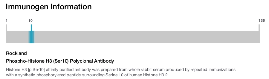 Phospho-Histone H3 (Ser10) Polyclonal Antibody