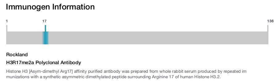 H3R17me2a Polyclonal Antibody