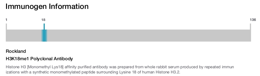 H3K18me1 Polyclonal Antibody
