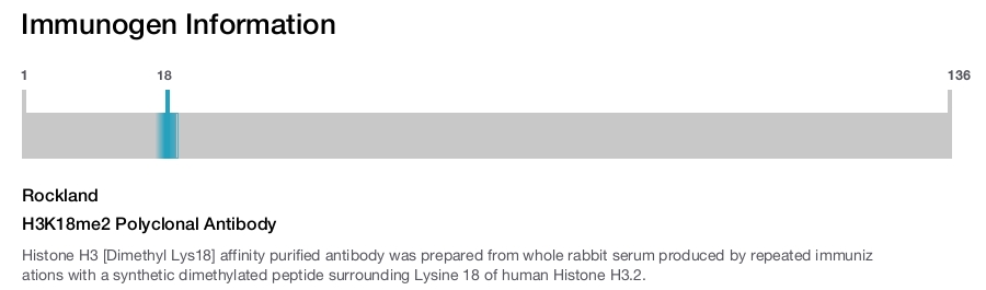 H3K18me2 Polyclonal Antibody