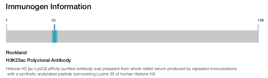 H3K23ac Polyclonal Antibody