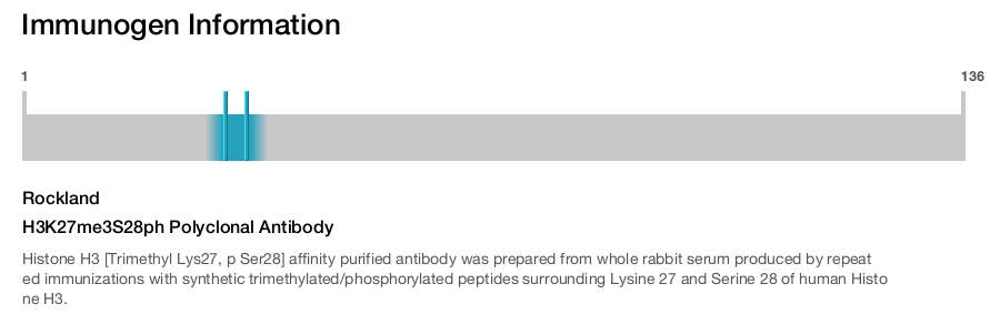 H3K27me3S28ph Polyclonal Antibody