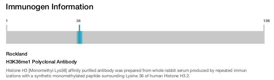 H3K36me1 Polyclonal Antibody