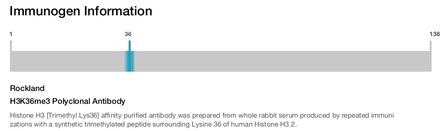 H3K36me3 Polyclonal Antibody