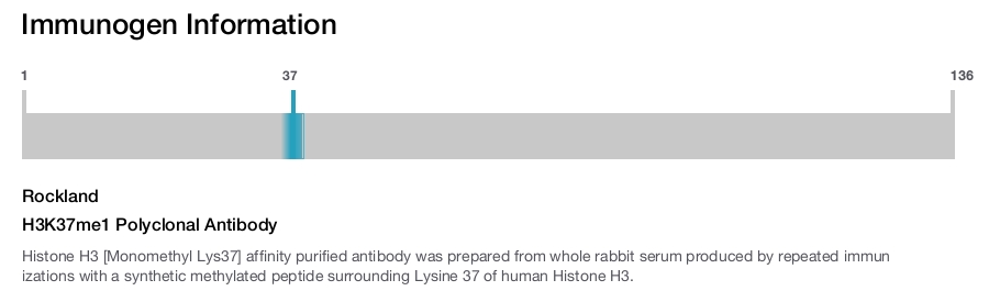 H3K37me1 Polyclonal Antibody