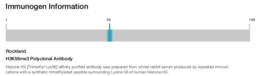 H3K56me3 Polyclonal Antibody