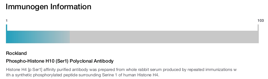 Phospho-Histone H10 (Ser1) Polyclonal Antibody