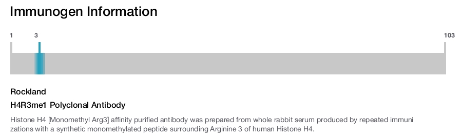 H4R3me1 Polyclonal Antibody