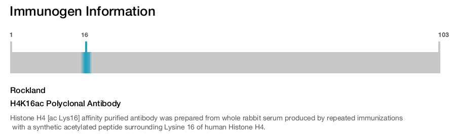 H4K16ac Polyclonal Antibody