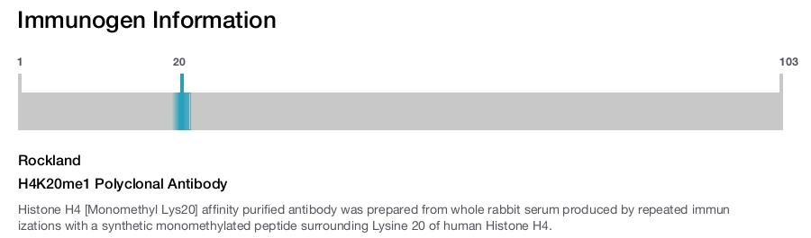 H4K20me1 Polyclonal Antibody