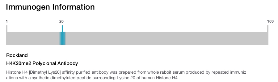 H4K20me2 Polyclonal Antibody