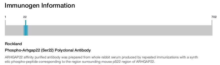 Phospho-Arhgap22 (Ser22) Polyclonal Antibody