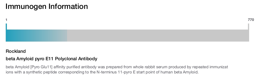 beta Amyloid pyro E11 Polyclonal Antibody