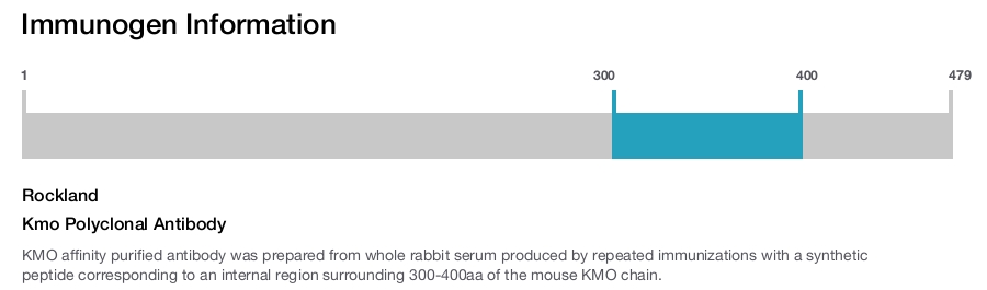 Kmo Polyclonal Antibody