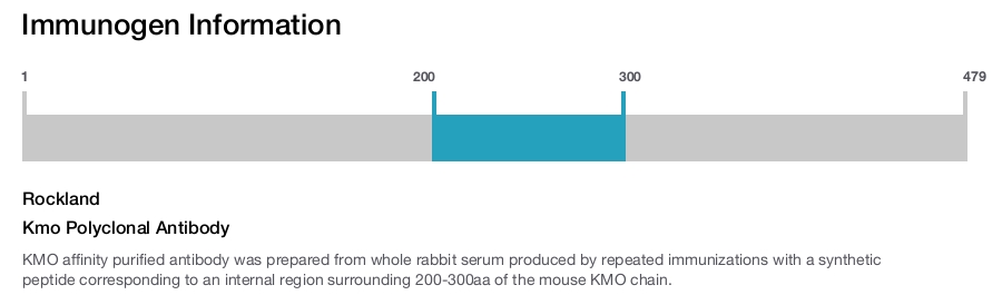 Kmo Polyclonal Antibody