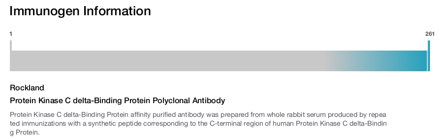 Protein Kinase C delta-Binding Protein Polyclonal Antibody