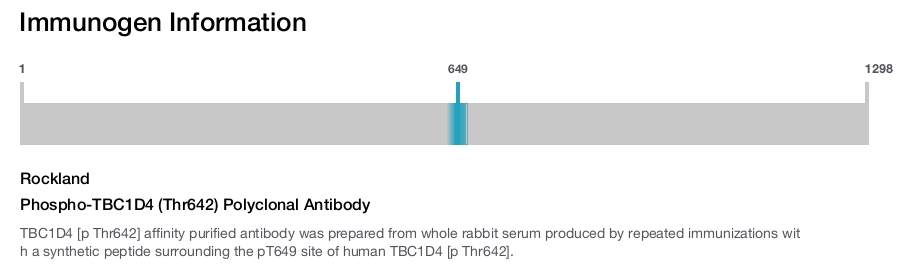Phospho-TBC1D4 (Thr642) Polyclonal Antibody