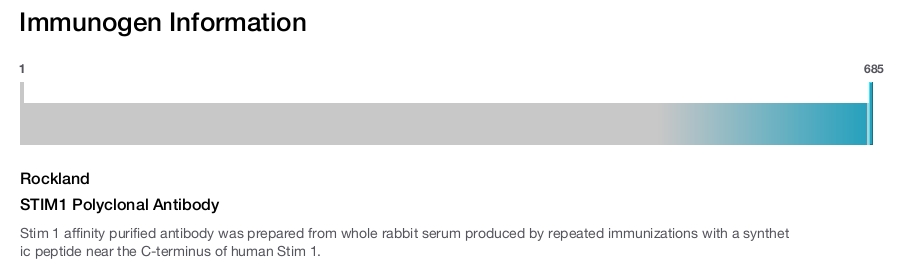 STIM1 Polyclonal Antibody