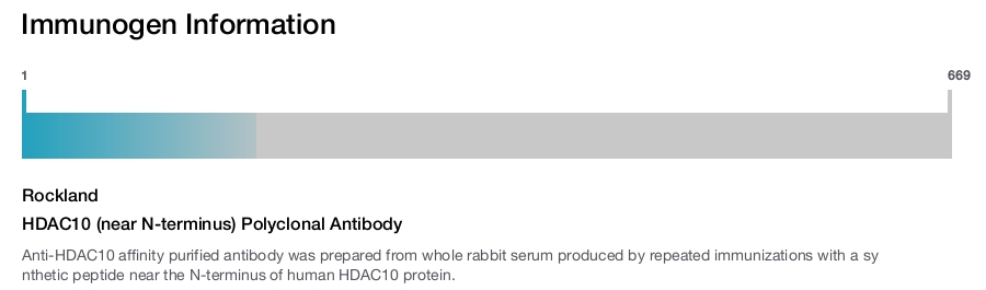 HDAC10 (near N-terminus) Polyclonal Antibody