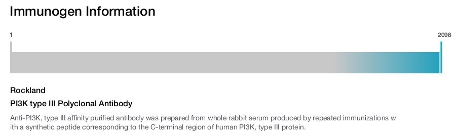 PI3K type III Polyclonal Antibody