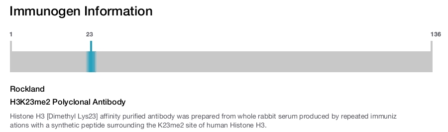 H3K23me2 Polyclonal Antibody