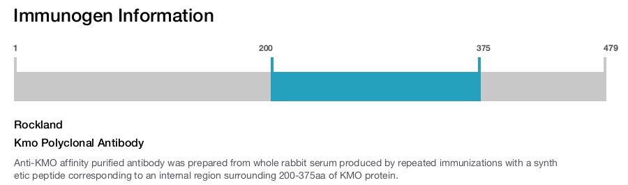 Kmo Polyclonal Antibody