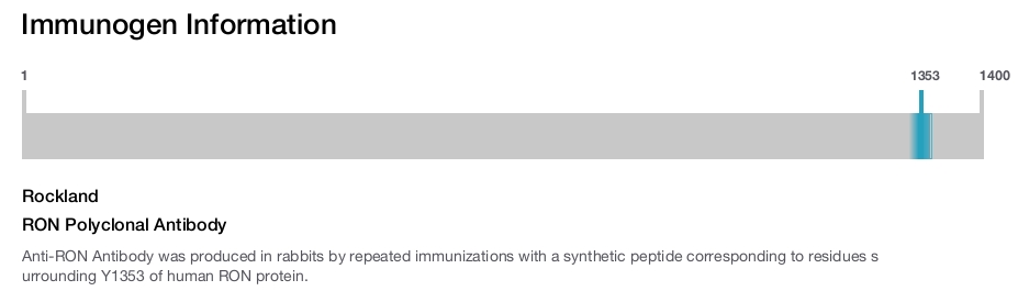 RON Polyclonal Antibody