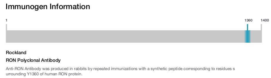 RON Polyclonal Antibody