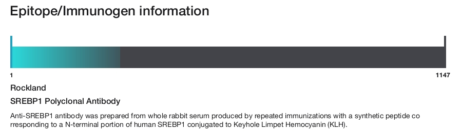 SREBP1 Polyclonal Antibody
