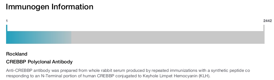 CREBBP Polyclonal Antibody