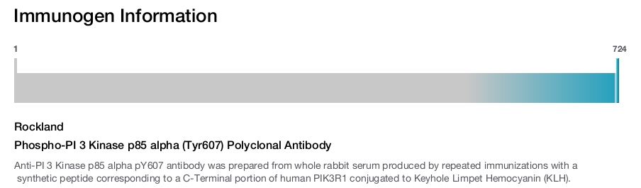 Phospho-PI 3 Kinase p85 alpha (Tyr607) Polyclonal Antibody